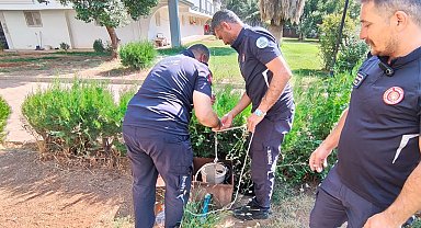 Kuyuya düşen yavru kediyi itfaiye ekibi kurtardı