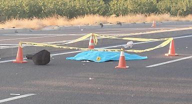 Malatya'da otomobilin çarptığı kadın öldü