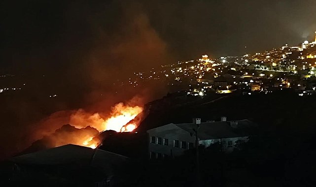 Mardin'de örtü yangını; müdahale sürüyor