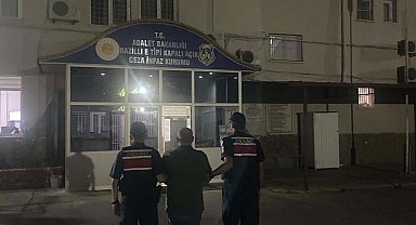 Ormanda kenevir yetiştirirken suçüstü yakalandı