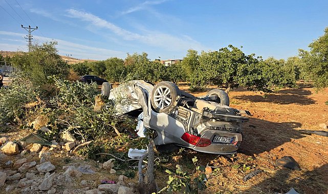 Otomobil fıstık bahçesine uçtu: 1 ölü, 6 yaralı