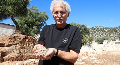 Parası olanın bile kullanamadığı renk; antik dünyada gücün ve statünün simgesi mor