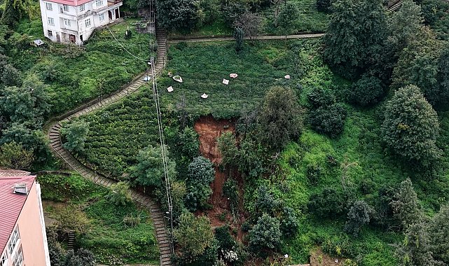 Rize'de heyelanlı bölgede çay hasadı