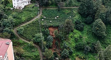 Rize'de heyelanlı bölgede çay hasadı