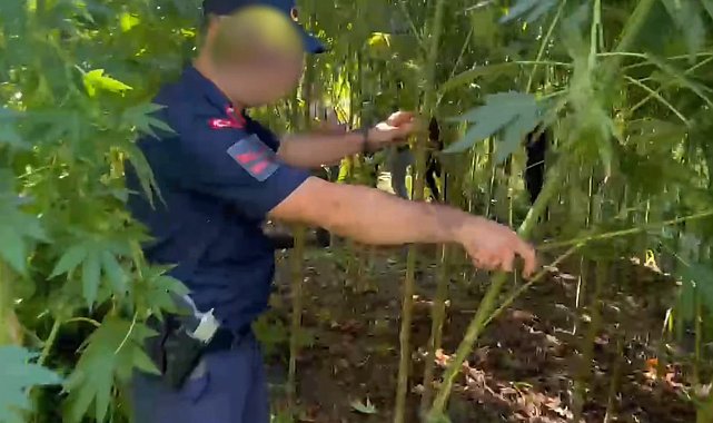 Sakarya'da kaçakçılık ve uyuşturucu operasyonu: 2 tutuklama