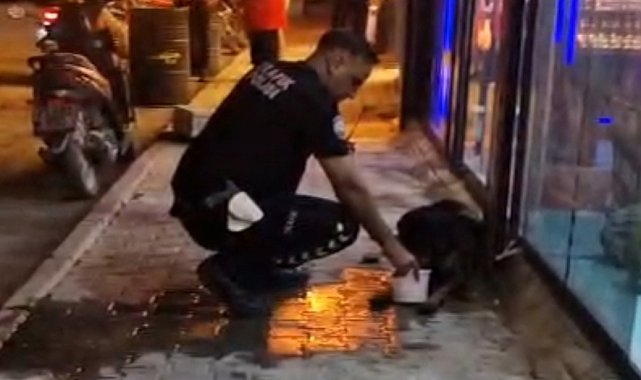 Silahla vurularak yaralanan sokak köpeğine polis ekipleri sahip çıktı