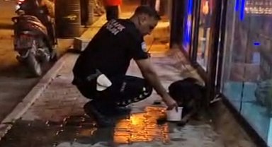 Silahla vurularak yaralanan sokak köpeğine polis ekipleri sahip çıktı