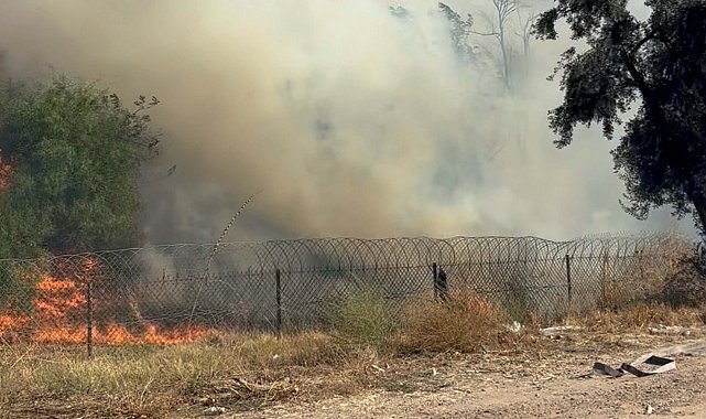 Tarım arazisinde çıkan yangın, otoyolun diğer tarafına sıçradı