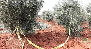 Traktörden düşen çiftçi öldü