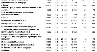 TÜİK: En fazla firma toptan ve perakende ticaret sektöründe yer aldı