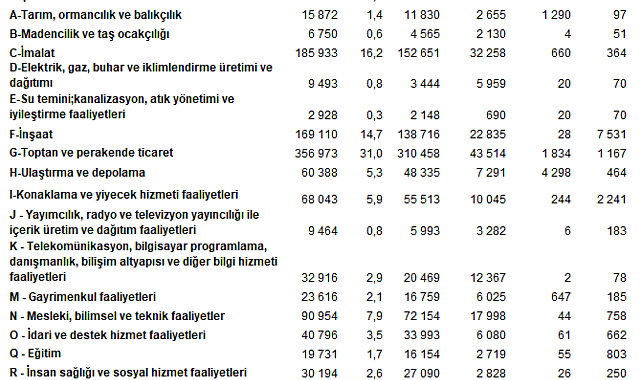 TÜİK: En fazla firma toptan ve perakende ticaret sektöründe yer aldı