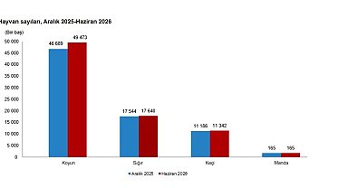 TÜİK hayvancılık istatistiklerini açıkladı; büyükbaş 17,8 milyon, küçükbaş 60,8 milyon oldu