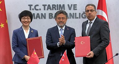 Türkiye ile Çin arasında defne ihracatı protokolü