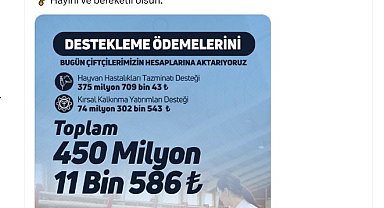 Üreticilere 450 milyon TL tarımsal destek