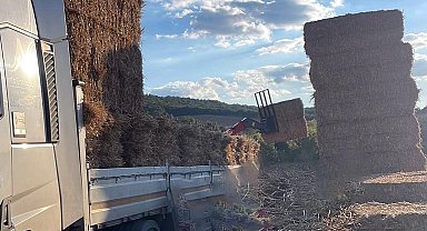 Üzerine saman balyası düştü, öldü