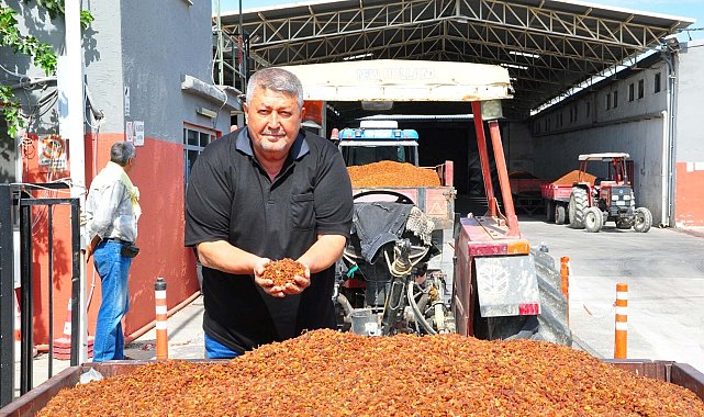 Üzüm alımına başlanan TMO önünde traktör kuyruğu