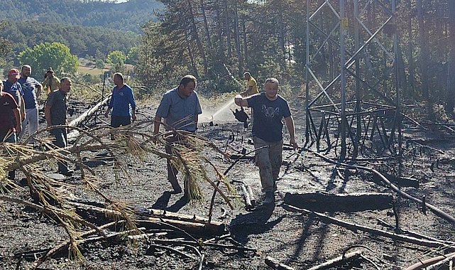 Yüksek gerilim hattında akıma kapılan kuş, orman yangınına neden oldu