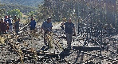 Yüksek gerilim hattında akıma kapılan kuş, orman yangınına neden oldu