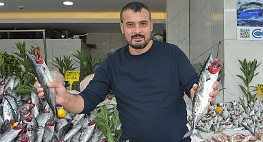 'Palamut bolluğu en az 1 ay daha sürecek'