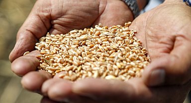 673 milyon insan yetersiz besleniyor, 1 milyardan fazlası obeziteyle yaşıyor