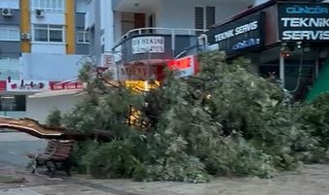 Adana'da sağanak; yollar göle döndü