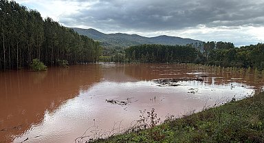 Amasra'da fırtına; çok sayıda ağaç devrildi