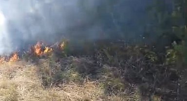 Anız yangınında alevler ormana sıçradı