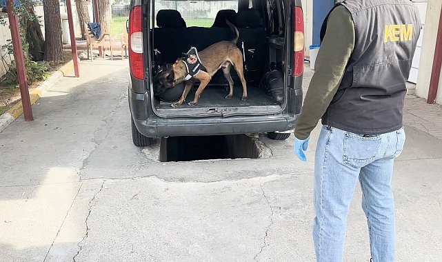 Aracın yakıt deposundaki uyuşturucuyu 'Hector' buldu