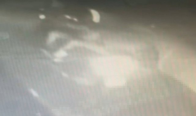 Bağcılar'da 20 yaşındaki genci öldüren şüpheli Çeşme'de yakalandı