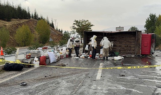 Bal ve arı kovanı yüklü kamyonet devrildi; 3 yaralı