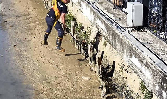Balçıkla kaplı dere yatağında mahsur kalan kedileri itfaiyeciler kurtardı