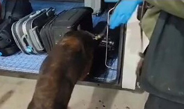 Balıkesir'de uyuşturucu operasyonu: 1 tutuklama