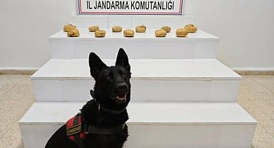 Başkale'de 11 kilo 958 gram toz esrar ele geçirildi