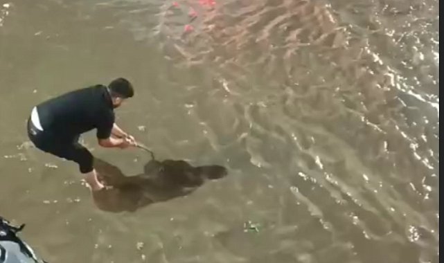 Batman'da sağanak hayatı olumsuz etkiledi