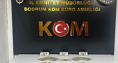 Bodrum'da 46 bin 200 sahte ABD dolarI ele geçirildi, 1 tutuklama