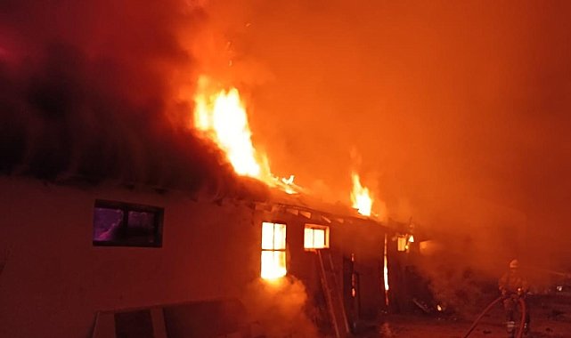Bursa'da hayvan çiftliğinde çıkan söndürüldü