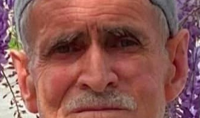Ceviz ağacından düşüp öldü
