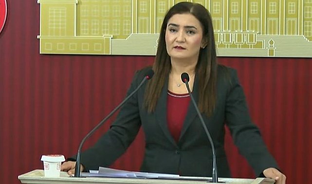 CHP'li Kılıç: Anlaşmada açıklığa kavuşturulması gereken ciddi meseleler var