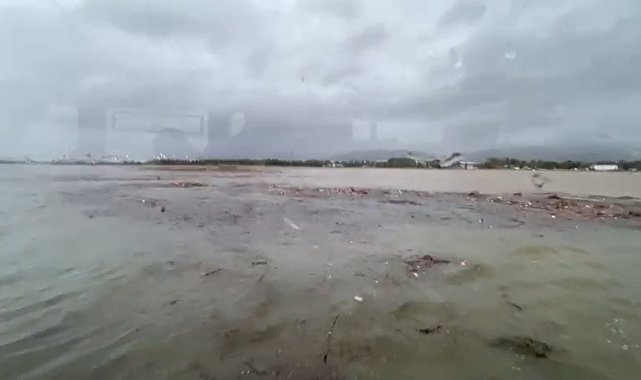 Derenin denize taşıdığı ağaç parçaları nedeniyle vapur seferleri aksadı