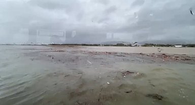 Derenin denize taşıdığı ağaç parçaları nedeniyle vapur seferleri aksadı