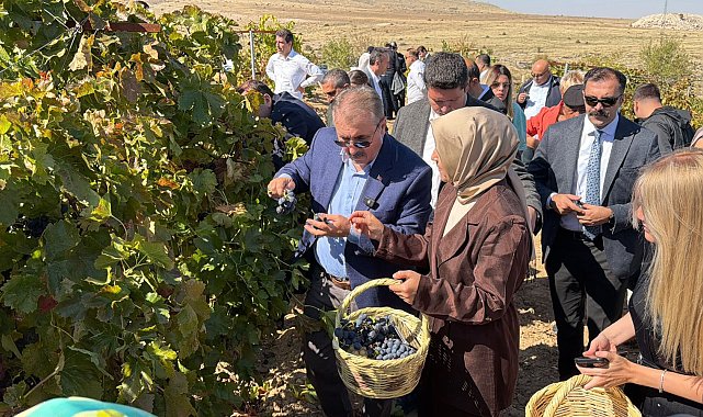 Destici, memleketi Eskişehir'de bağbozumu etkinliğine katıldı
