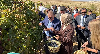 Destici, memleketi Eskişehir'de bağbozumu etkinliğine katıldı