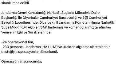 Diyarbakır'da 48 bin kök kenevir ve skunk imha edildi
