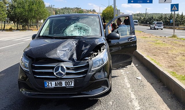 Diyarbakır'da hafif ticari aracın çarptığı yaya öldü, sürücü tutuklandı