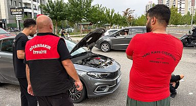 Diyarbakır'da otomobilin kaputuna giren yılanı vatandaşlar çıkardı