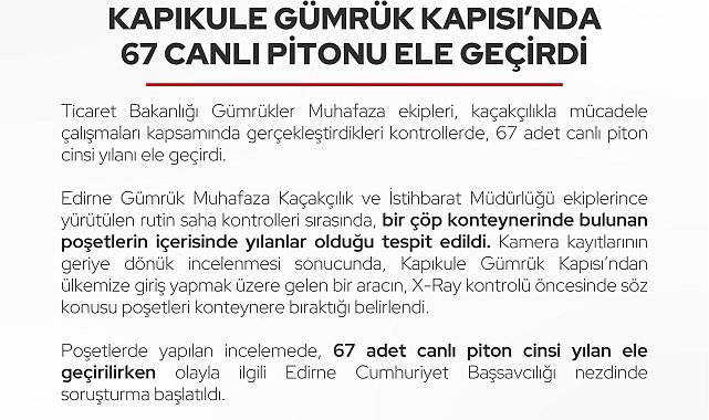 Edirne-Kapıkule Gümrük Kapısı'nda 67 canlı piton ele geçirildi