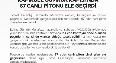 Edirne-Kapıkule Gümrük Kapısı'nda 67 canlı piton ele geçirildi