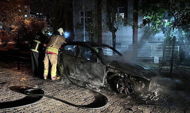 Edirne'de Bulgaristan plakalı otomobil alev alev yandı