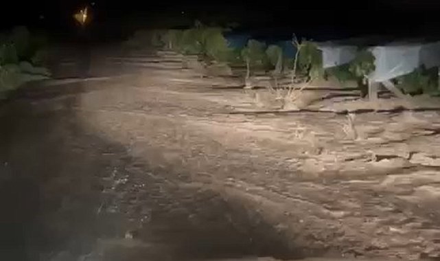Elazığ'da sağanak sele neden oldu, üzüm bağları su altında kaldı