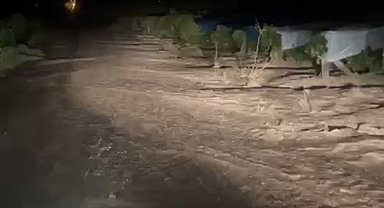 Elazığ'da sağanak sele neden oldu, üzüm bağları su altında kaldı